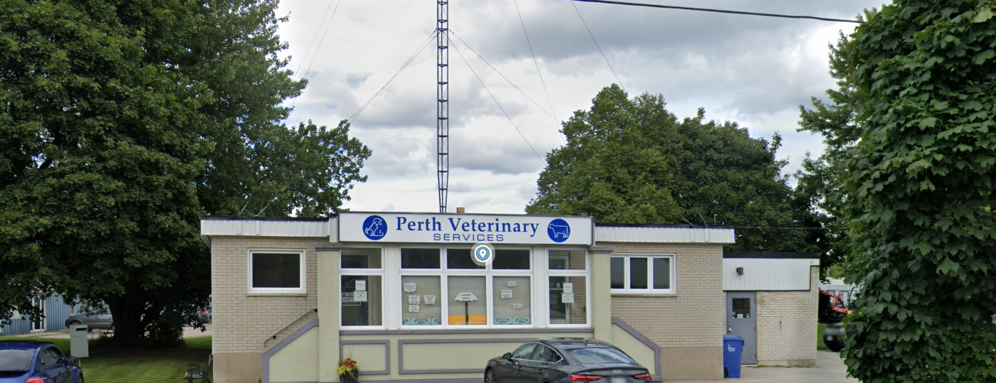 Animal Hospital - Perth Vet Care Centre - Stratford, ON