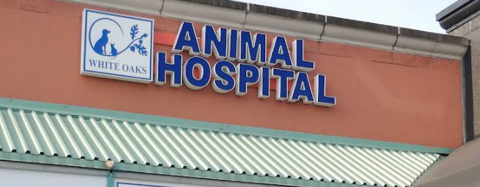 Animal Hospital - White Oak Animal Hospital - London, ON